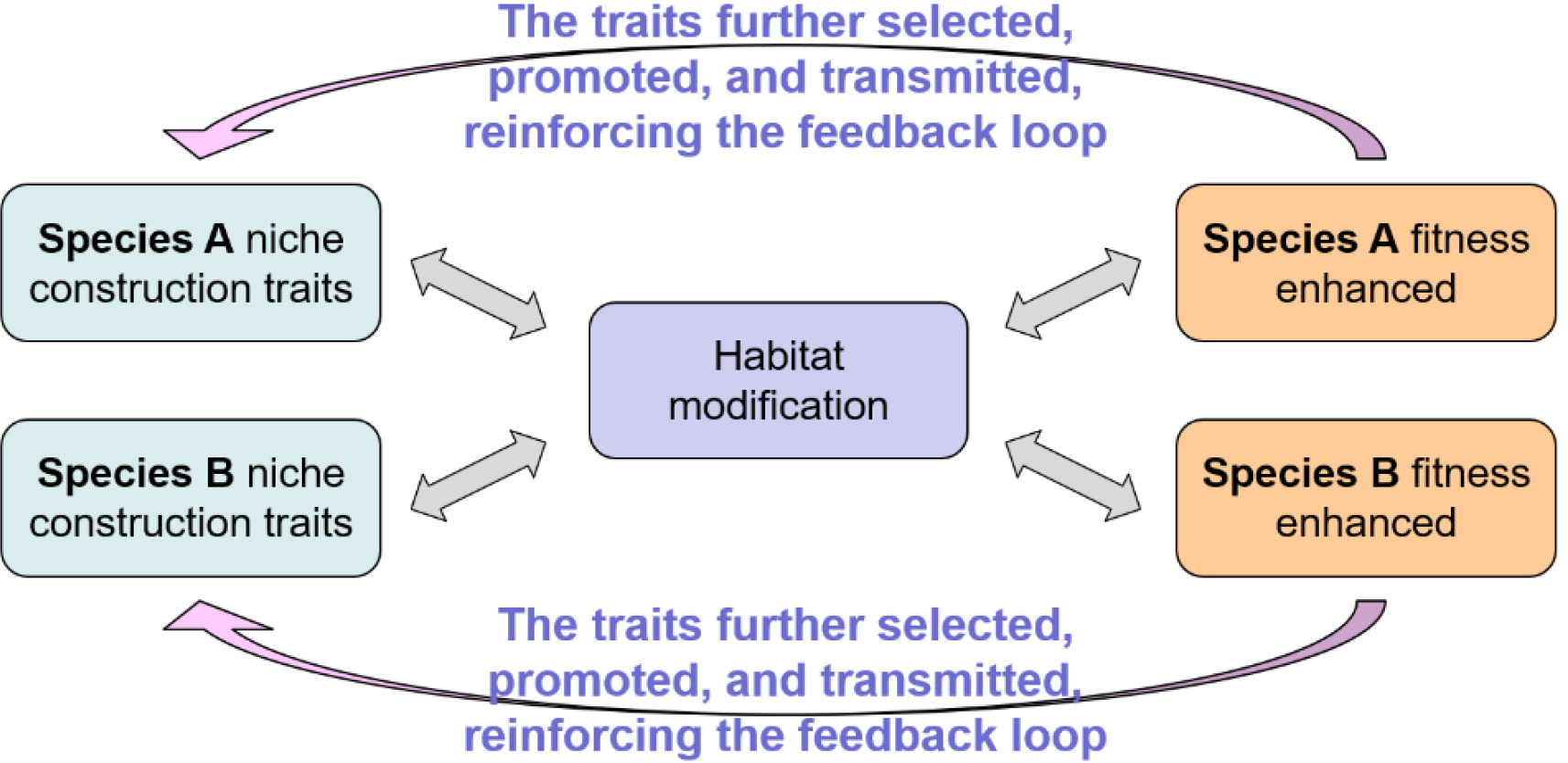 Physical Geography as a Composite Science: Integrating Evolutionary Biology  and Advancing Toward Biogeomorphology