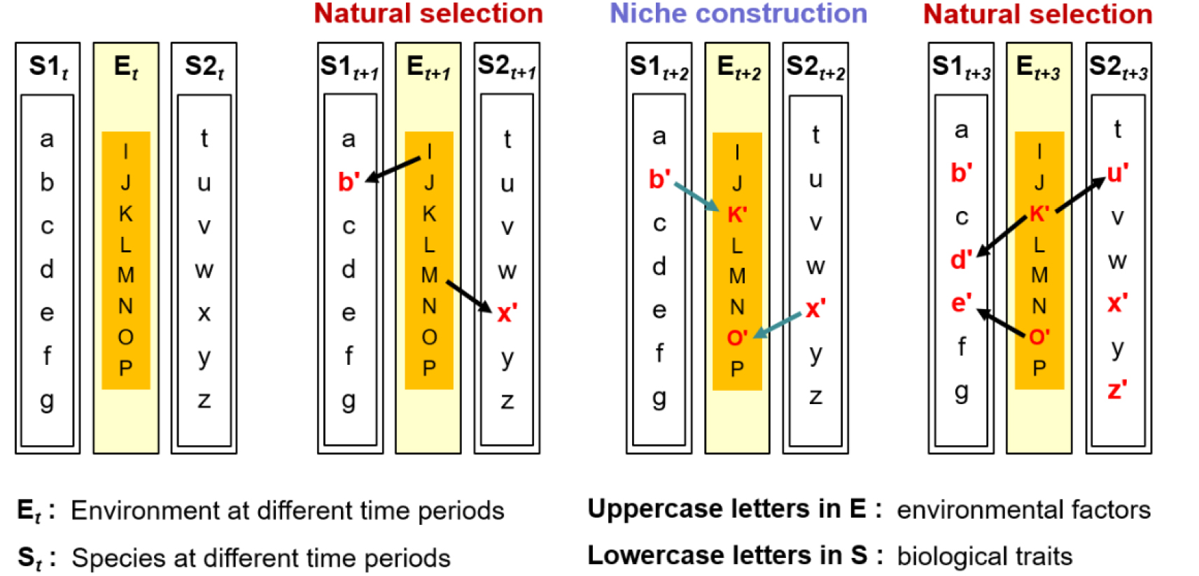 Physical Geography as a Composite Science: Integrating Evolutionary Biology  and Advancing Toward Biogeomorphology